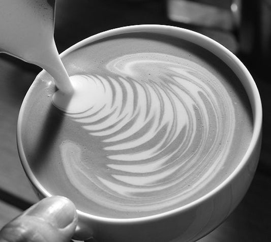 Request Wholesale information - Passport Coffee & Tea - Shop