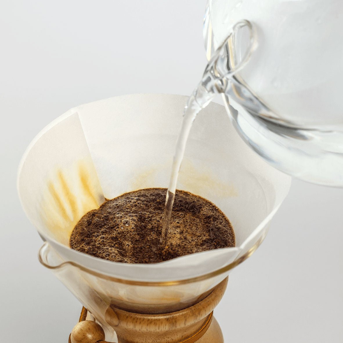Bonded Filters Pre - Folded Circles (FC - 100) - Passport Coffee & Tea - Shop