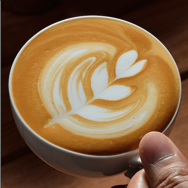 Decaf Portofino Espresso - Passport Coffee & Tea - Shop