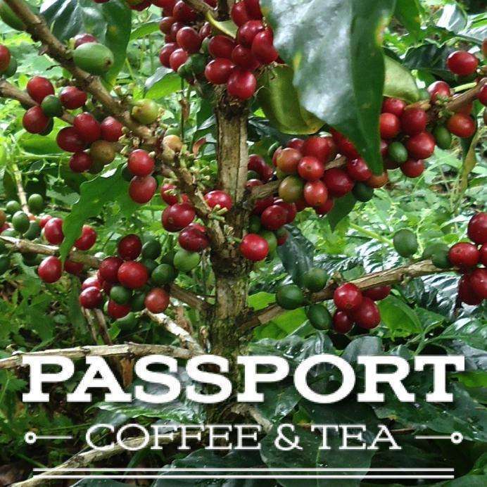 Tanzanian Peaberry - Zanzibar - Passport Coffee & Tea - Shop