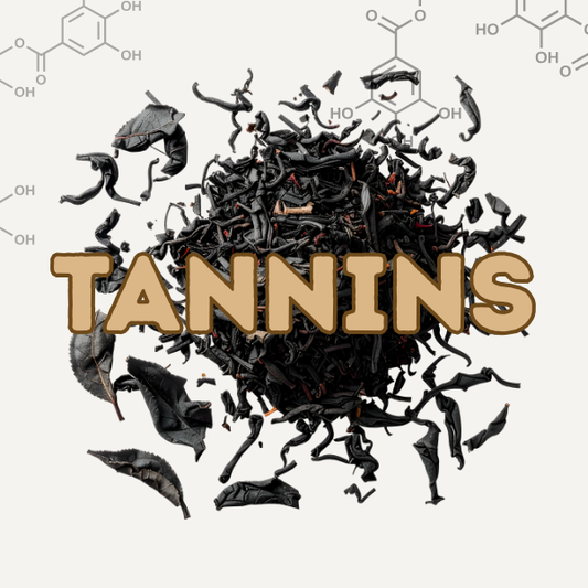 Understanding Tannins in Tea