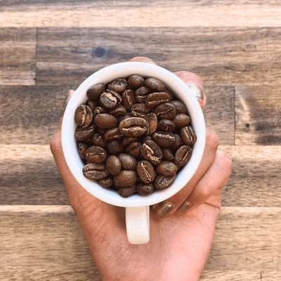 Choosing a Coffee - Between a Light, Medium, or Dark Roast - Passport Coffee & Tea - Shop