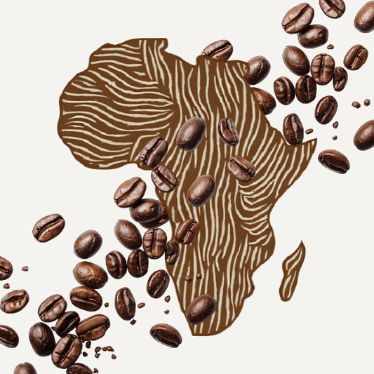 Ethiopia, Kenya, and Tanzania: How African Origins Define Flavor - Passport Coffee & Tea - Shop