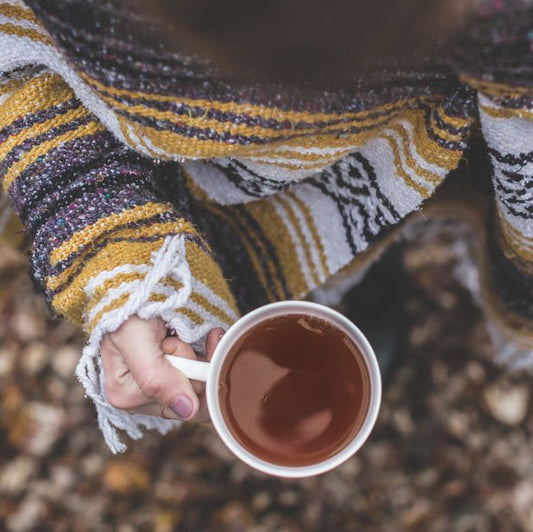 Tea 101: The Basics of Tea - Passport Coffee & Tea - Shop
