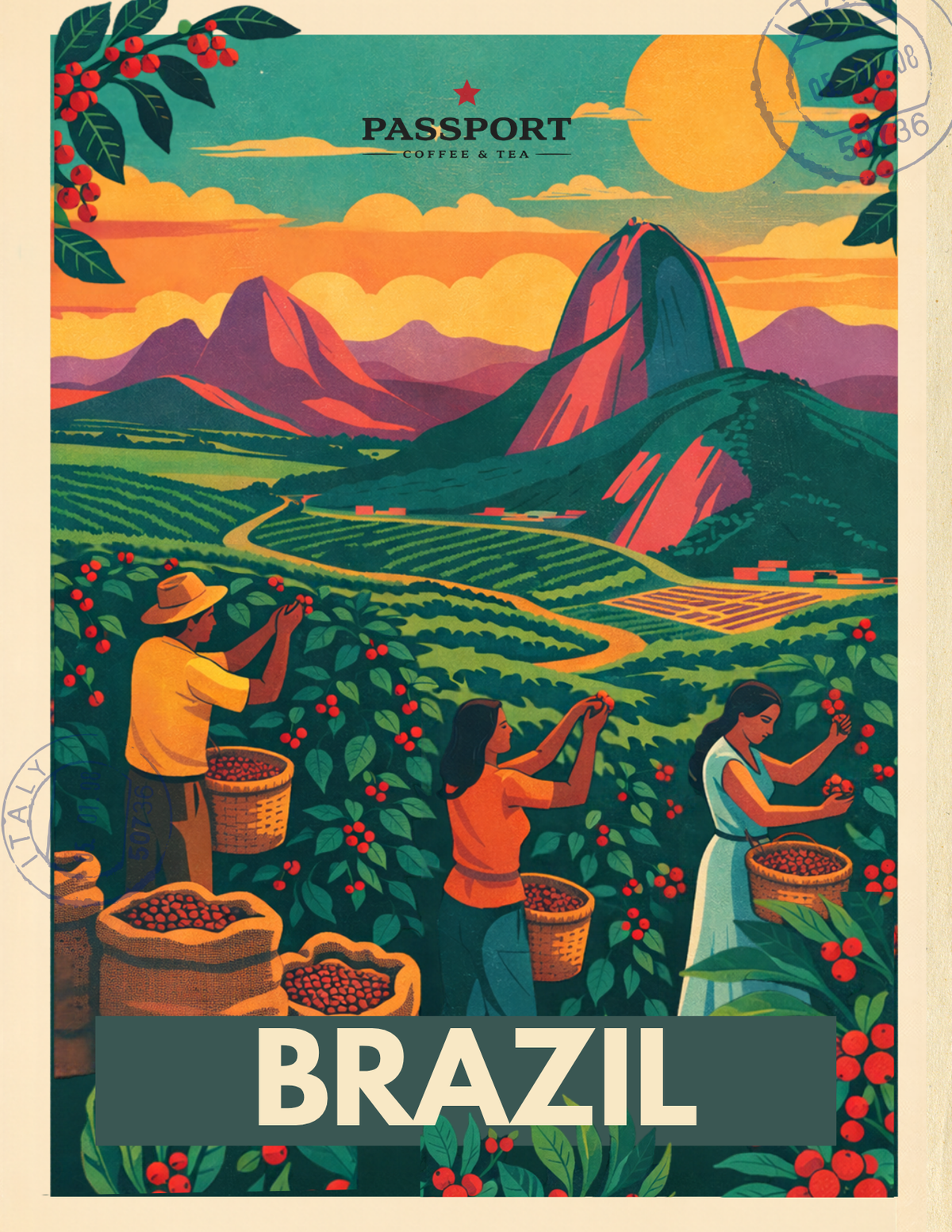 Coffee Origin Guides