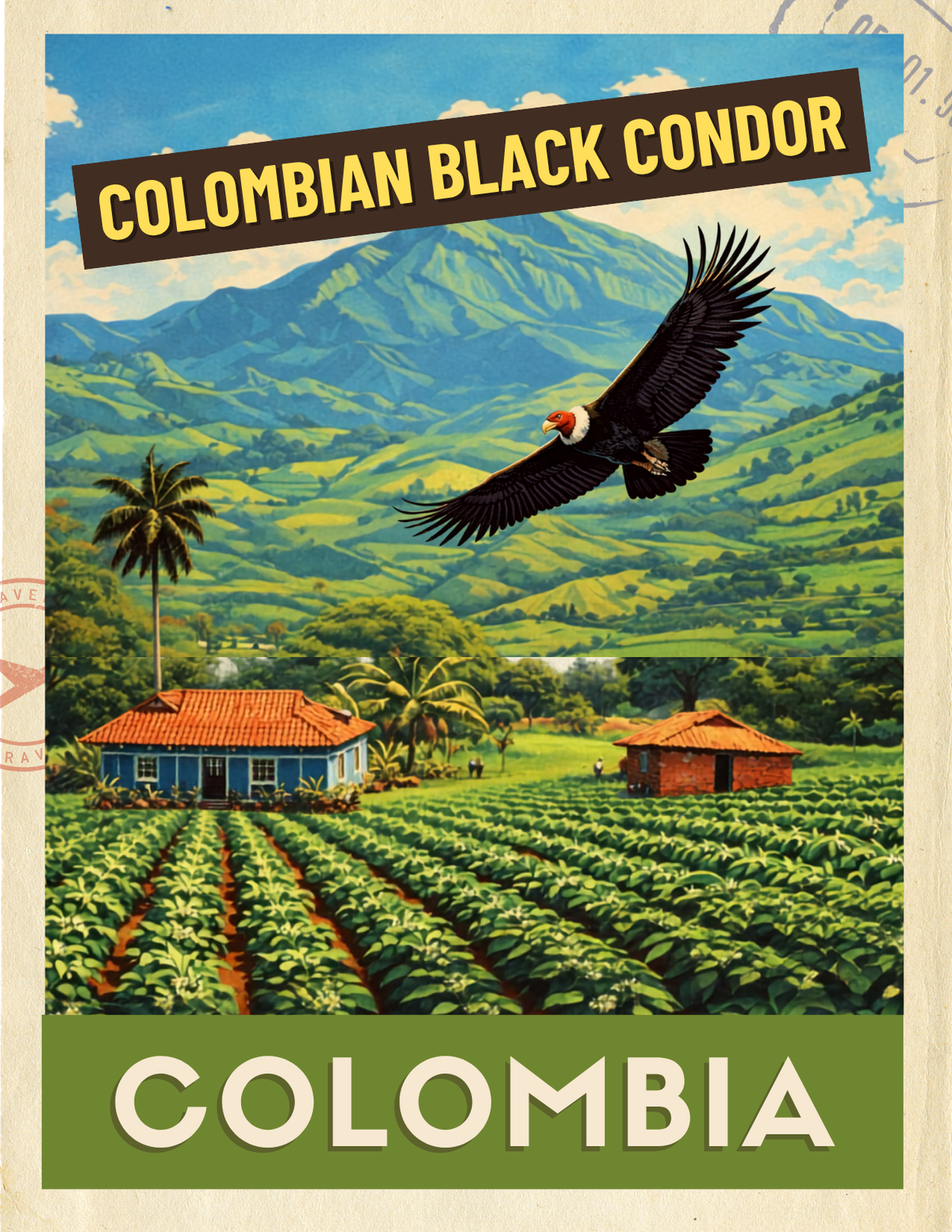 Coffee Origin Guides