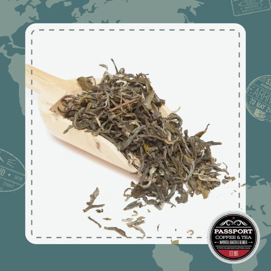 Bai Mudan Leaf White Tea - Passport Coffee & Tea - Shop