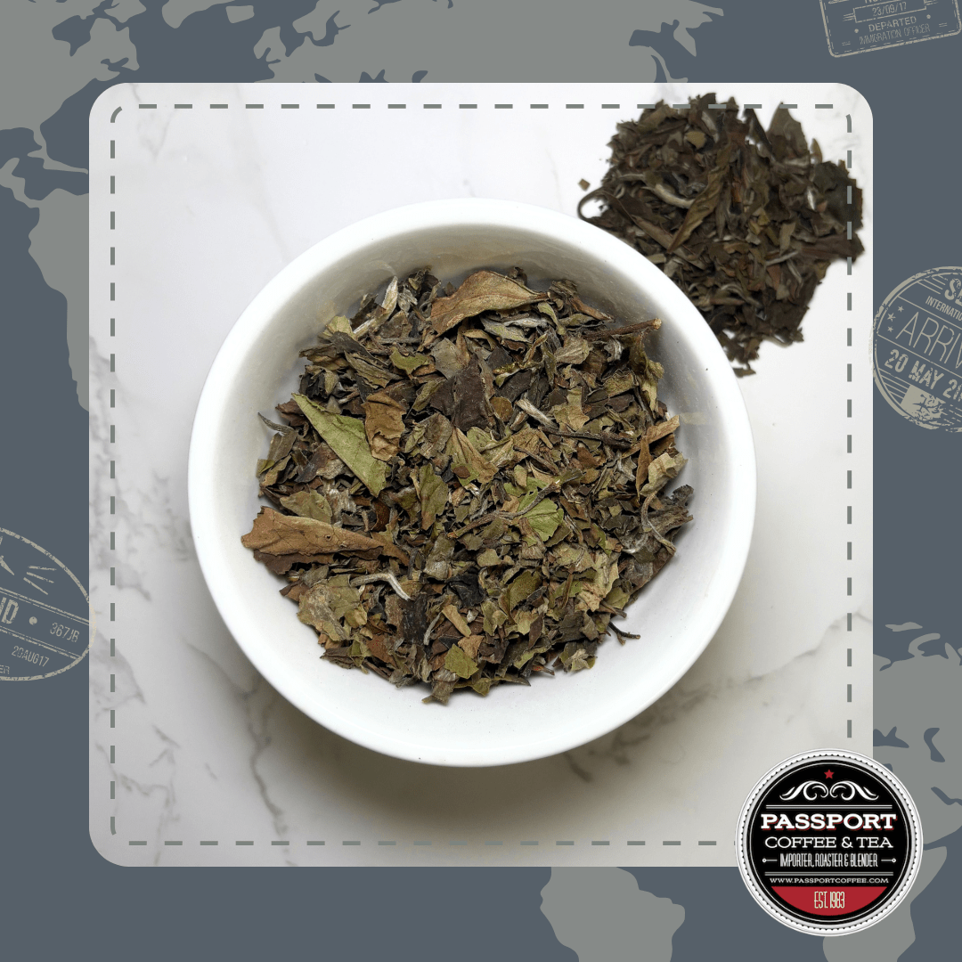 Mudan (Peony) White Tea - Passport Coffee & Tea - Shop