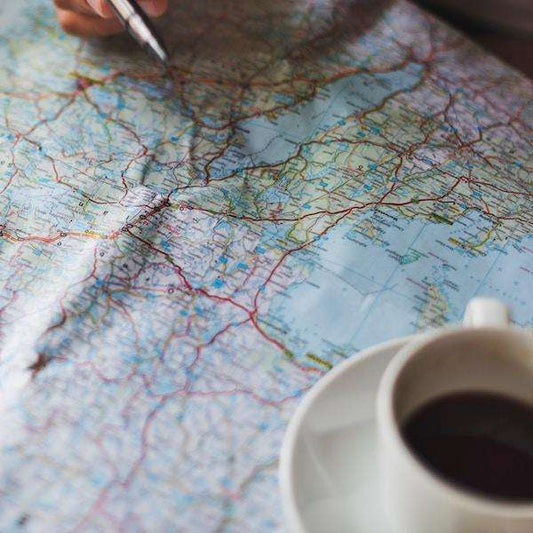 Cinnamon Viennese - Passport Coffee & Tea - Shop