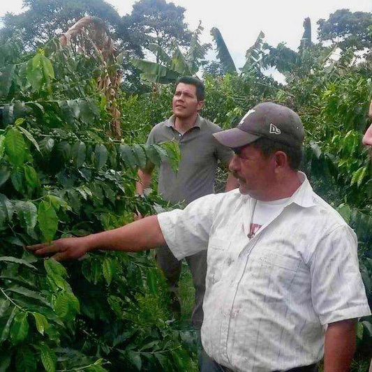 Colombian Supremo - Huila - Passport Coffee & Tea - Shop