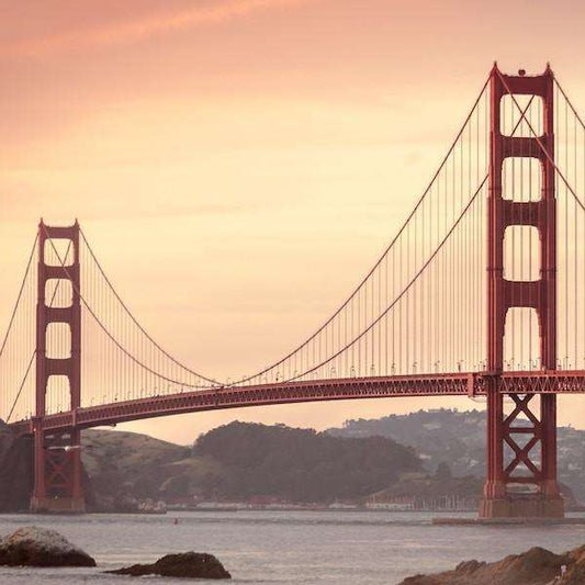 Decaf San Francisco Blend - Passport Coffee & Tea - Shop
