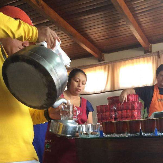 Mexican Chiapas Turquesa - Passport Coffee & Tea - Shop