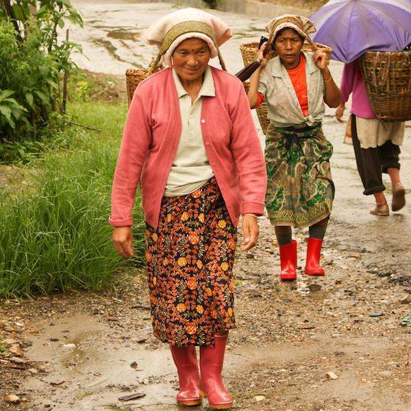 Natural Sumatra Gayo Mountain - Sustainably Sourced - Passport Coffee & Tea - Shop