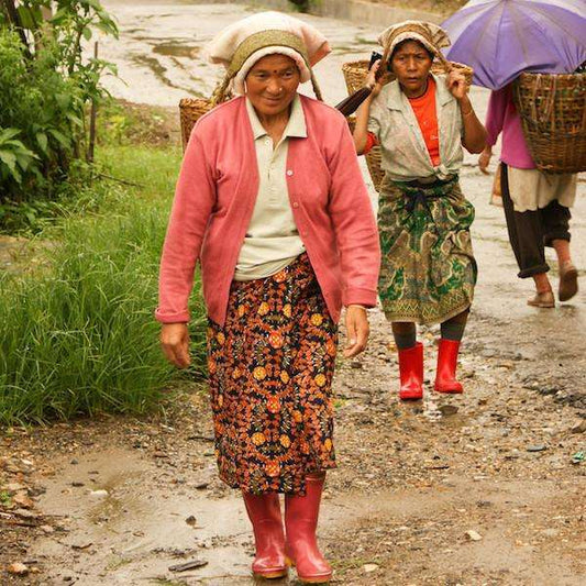 Natural Sumatra Gayo Mountain - Sustainably Sourced - Passport Coffee & Tea - Shop