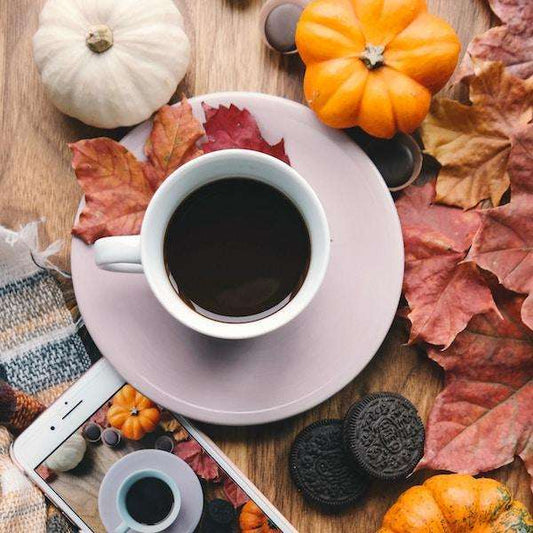 Pumpkin Spice Coffee - Passport Coffee & Tea - Shop