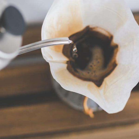 Rainforest Blend - Sustainably Sourced - Passport Coffee & Tea - Shop