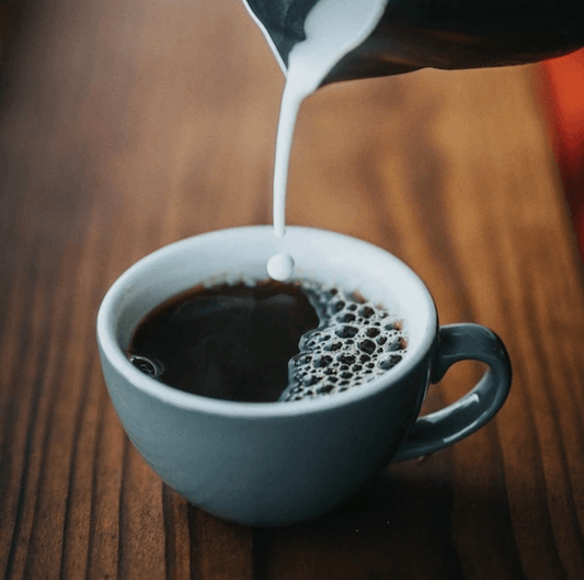 St Patty Day Special - Passport Coffee & Tea - Shop